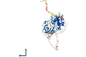 Protein Structure (PS) image for Ribosomal Protein S6 Kinase, 70kDa, Polypeptide 2 (RPS6KB2) (AA 1-482) protein (His tag) (ABIN7548945)