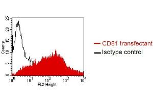 FACS analysis of Dubca cells using QV-6A8-S3 Cat. (CD81 antibody)