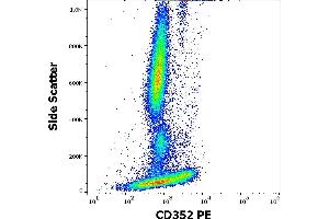 Flow cytometry surface staining pattern of human peripheral whole blood stained using anti-human CD352 (hsF6. (SLAMF6 antibody  (PE))