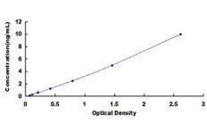 ELISA image for Activin Receptor Type I (ACRV1) ELISA Kit (ABIN417554)