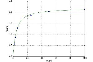 A typical standard curve (IL7R ELISA Kit)
