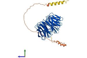 Protein Structure (PS) image for PAK1 Interacting Protein 1 (PAK1IP1) (AA 1-392) protein (His tag) (ABIN7550717)