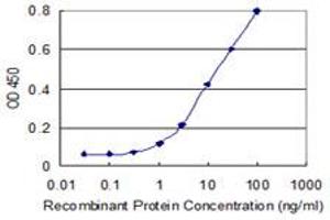 Detection limit for recombinant GST tagged FBXO36 is 0. (FBXO36 antibody  (AA 66-165))