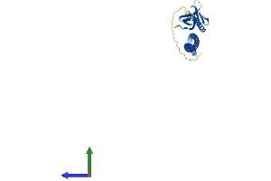 AlphaFold protein structure predicition of Mouse Recombinant Homer1 Protein, UniprotID Q9Z2Y3