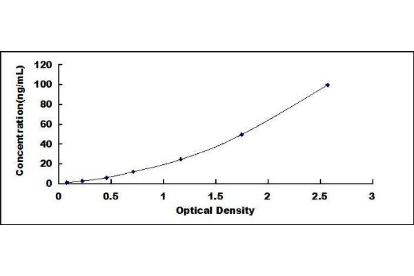 CYP4F2 ELISA Kit