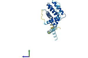AlphaFold protein structure predicition of Human Recombinant BOK Protein, UniprotID Q9UMX3 (BOK Protein (AA 1-212) (His tag))