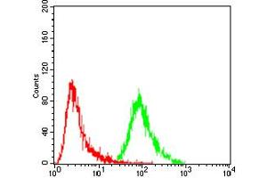 Flow Cytometry (FACS) image for anti-Excision Repair Cross Complementing Polypeptide-1 (ERCC1) (AA 151-297) antibody (ABIN5884589)