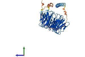 AlphaFold protein structure predicition of Mouse Recombinant Poc1a Protein, UniprotID Q8JZX3 (POC1A Protein (AA 1-405) (His tag))