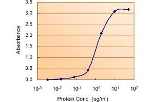 ABIN571224 (1. (PRKAA2 antibody  (Internal Region))