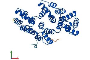 AlphaFold protein structure predicition of Mouse Recombinant Anxa10 Protein, UniprotID Q9QZ10