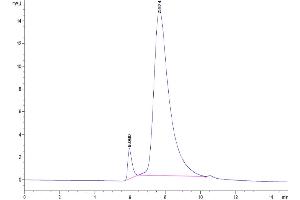 Size-exclusion chromatography-High Pressure Liquid Chromatography (SEC-HPLC) image for Mesothelin (MSLN) (AA 298-600) protein (His tag,Biotin) (ABIN7275290)