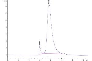 Size-exclusion chromatography-High Pressure Liquid Chromatography (SEC-HPLC) image for Mesothelin (MSLN) (AA 298-600) protein (His tag,Biotin) (ABIN7275290)