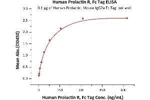 Immobilized Human Prolactin, Mouse IgG2a Fc Tag, low endotoxin (ABIN6253198,ABIN6253591) at 1 μg/mL (100 μL/well) can bind Human Prolactin R, Fc Tag (ABIN5674642,ABIN6253668) with a linear range of 2-39 ng/mL (QC tested). (Prolactin Receptor Protein (PRLR) (AA 25-234) (Fc Tag))