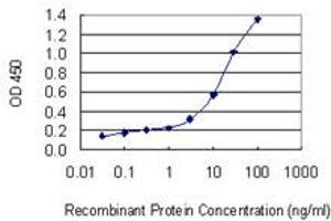 Detection limit for recombinant GST tagged CLTA is 0. (CLTA antibody  (AA 118-176))