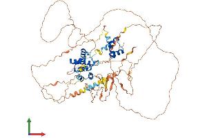 AlphaFold protein structure predicition of Mouse Recombinant Six5 Protein, UniprotID P70178 (Six5 Protein (AA 1-719) (His tag))