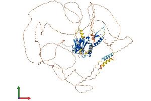 AlphaFold protein structure predicition of Mouse Recombinant Esco1 Protein, UniprotID Q69Z69 (ESCO1 Protein (AA 1-843) (His tag))