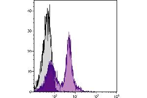 BALB/c mouse splenocytes were stained with Rat Anti-Mouse CD38-FITC. (CD38 antibody  (FITC))