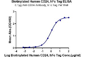 Immobilized Anti-CD24 Antibody, hFc Tag at 1 μg/mL (100 μL/Well) on the plate. (CD24 Protein (AA 27-59) (Fc Tag,Biotin))