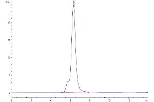 The purity of Mouse SEZ6 is greater than 95 % as determined by SEC-HPLC. (SEZ6 Protein (AA 20-922) (His tag))