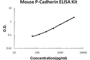 Mouse P-Cadherin PicoKine ELISA Kit standard curve (P-Cadherin ELISA Kit)