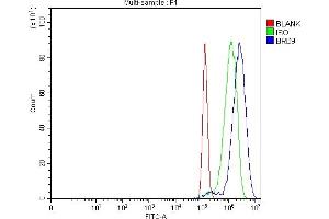 Flow Cytometry analysis of PC-3 cells using anti-BRD9 antibody (ABIN7602322). (BRD9 antibody  (AA 7-271))