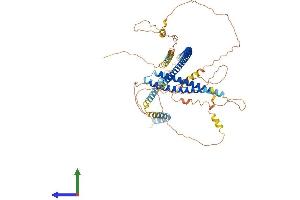 AlphaFold protein structure predicition of Human Recombinant TMCC1 Protein, UniprotID O94876 (TMCC1 Protein (AA 1-653) (His tag))