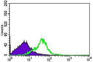Flow cytometric analysis of HEK293 cells using DNAL4 mouse mAb (green) and negative control (purple). (DNAL4 antibody  (AA 1-105))