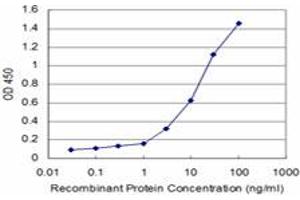 Detection limit for recombinant GST tagged IF is approximately 0. (Complement Factor I antibody  (AA 19-118))