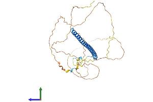 AlphaFold protein structure predicition of Human Recombinant FOSB Protein, UniprotID P53539 (FOSB Protein (AA 1-338) (His tag))