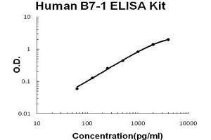 Human B7-1/CD80 PicoKine ELISA Kit standard curve