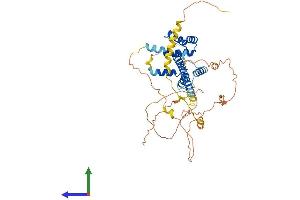 AlphaFold protein structure predicition of Mouse Recombinant Pknox2 Protein, UniprotID Q8BG99 (PKNOX2 Protein (AA 1-474) (His tag))