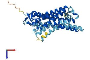 AlphaFold protein structure predicition of Human Recombinant OR52K1 Protein, UniprotID Q8NGK4 (OR52K1 Protein (AA 1-314) (His tag))