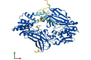 AlphaFold protein structure predicition of Mouse Recombinant Prmt7 Protein, UniprotID Q922X9 (PRMT7 Protein (AA 1-692) (His tag))