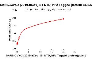 ELISA plate pre-coated by 2 μg/mL (100 μL/well) Human AXL, His tagged protein (ABIN6961128) can bind Human NTD, hFc Tagged protein(ABIN6961173) in a linear range of 0. (AXL Protein (His tag))