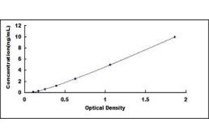 Typical standard curve (TOP2 ELISA Kit)