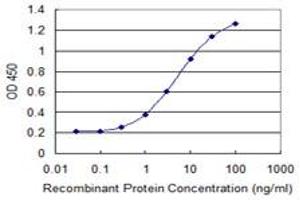 Detection limit for recombinant GST tagged CTNNB1 is 0. (CTNNB1 antibody  (AA 682-781))
