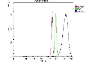 Flow Cytometry analysis of SiHa cells using anti-SNAP23 antibody (ABIN7603236). (SNAP23 antibody  (N-Term))