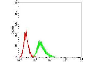 Flow cytometric analysis of Ramos cells using CD191 mouse mAb (green) and negative control (red). (CCR1 antibody)