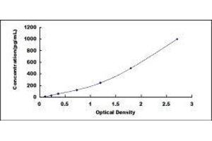 Oncostatin M (OSM) ELISA Kit