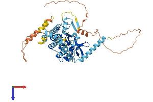 PNPLA3 Protein (AA 1-481) (His tag)