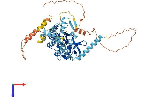 PNPLA3 Protein (AA 1-481) (His tag)