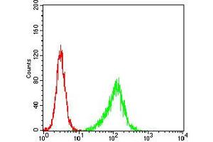 Flow cytometric analysis of Hela cells using PLCG2 mouse mAb (green) and negative control (red). (Phospholipase C gamma 2 antibody  (pTyr753))