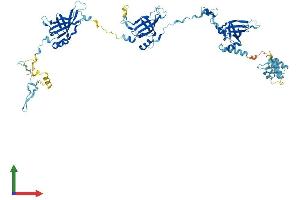 AlphaFold protein structure predicition of Human Recombinant EFHC1 Protein, UniprotID Q5JVL4
