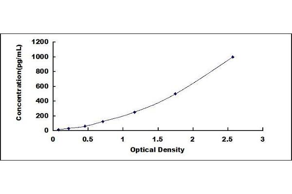 LTB ELISA Kit