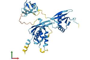 AlphaFold protein structure predicition of Human Recombinant NCF4 Protein, UniprotID Q15080