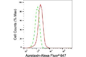 anti-Aprataxin (APTX) antibody