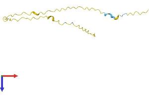 AlphaFold protein structure predicition of Human Recombinant GAGE7 Protein, UniprotID O76087 (G Antigen 7 Protein (GAGE7) (AA 1-117) (His tag))