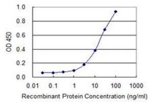 Detection limit for recombinant GST tagged PBK is 0. (PBK antibody  (AA 122-229))