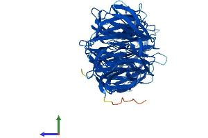 AlphaFold protein structure predicition of Mouse Recombinant Cfap52 Protein, UniprotID Q5F201