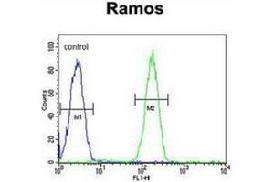 Flow cytometric analysis of Ramos cells using AP52266PU-N (right histogram) compared to a negative control cell (left histogram). (KDM3B antibody  (Middle Region))